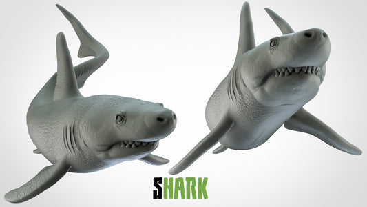Shark - ideal for Dungeons and Dragons and other Tabletop RPGs/Wargaming/D&D