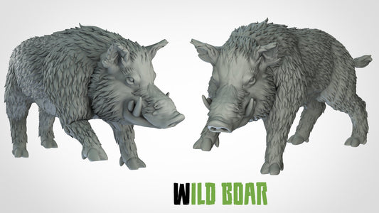 Wild Boar - ideal for Dungeons and Dragons and other Tabletop RPGs/Wargaming/D&D