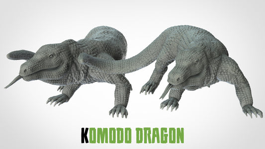 Komodo Dragon - ideal for Dungeons and Dragons and other Tabletop RPGs/Wargaming/D&D