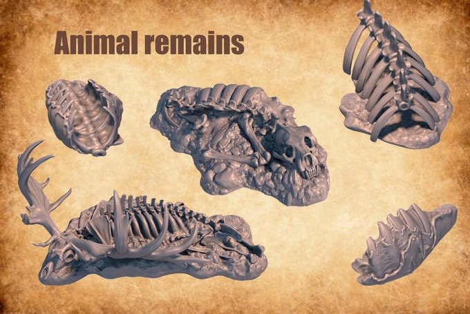 Animal remains terrain assets- ideal for Dungeons and Dragons and other Tabletop RPGs/ Wargaming