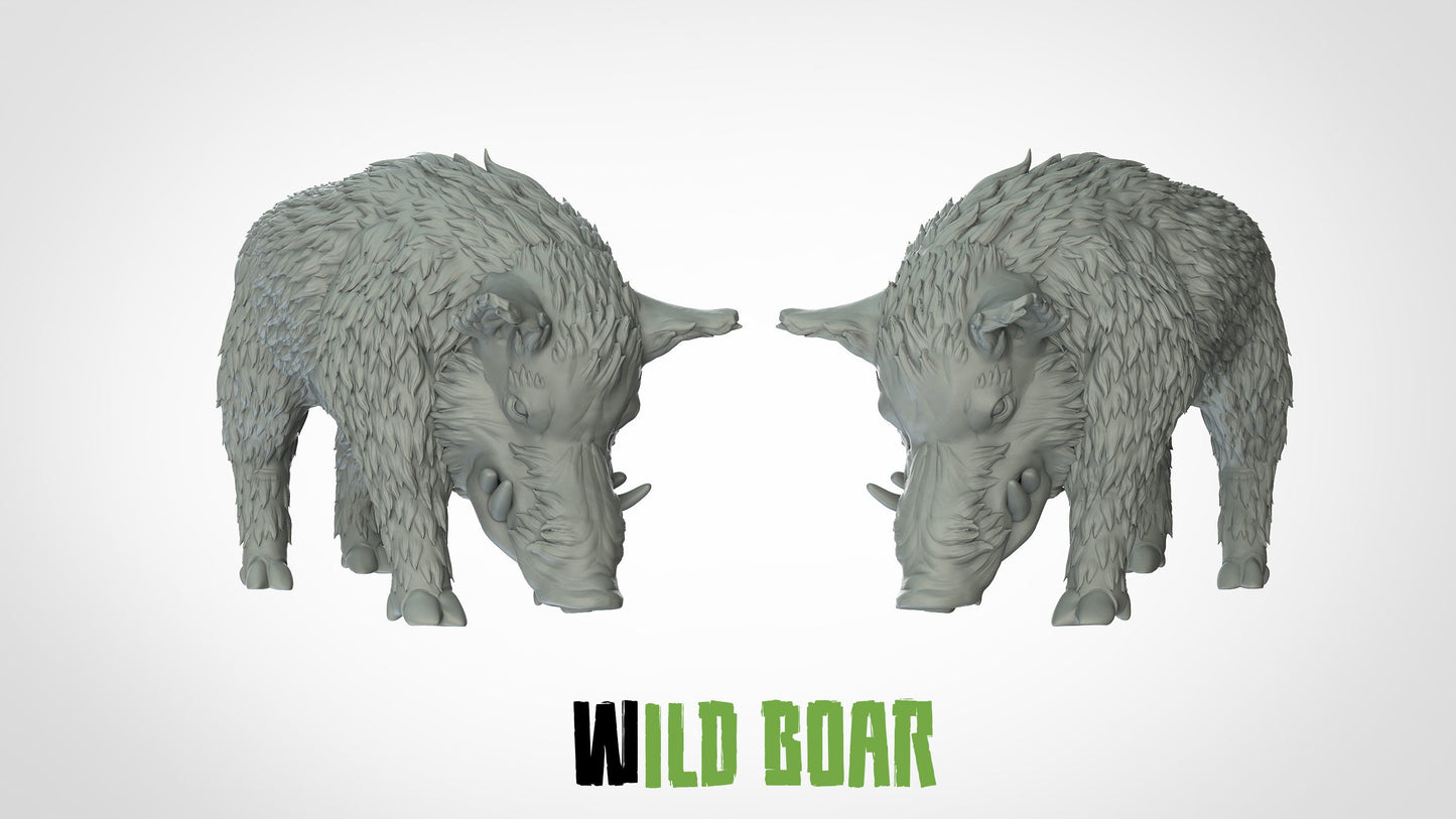 Wild Boar - ideal for Dungeons and Dragons and other Tabletop RPGs/Wargaming/D&D