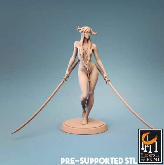 Succubus Swordsman - Lord of the Print - ideal for Dungeons and Dragons and other Tabletop RPGs/Wargaming/D&D