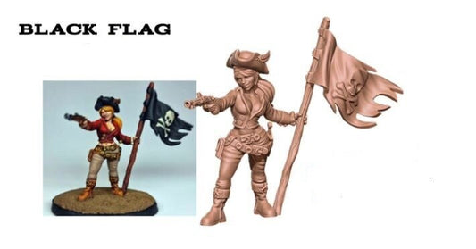 Black Flag Pirate- Treasure Island