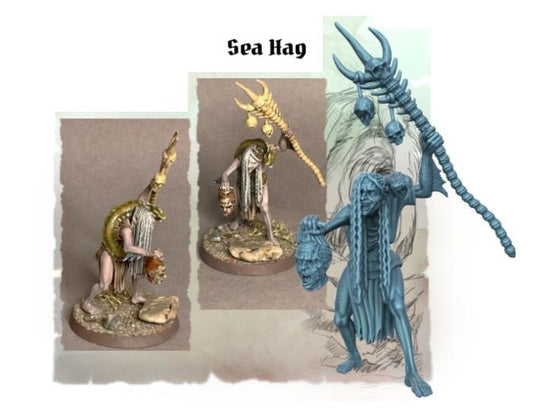 Sea Hag - treasure island - ideal for Dungeons and Dragons and other Tabletop RPGs/ D&D/ Wargaming