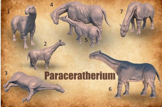 Prehistoric Paraceratherium