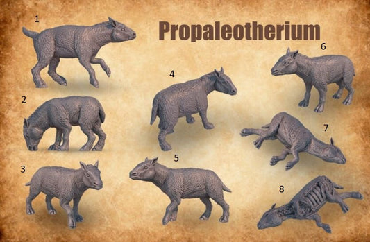 Prehistoric Popaleotherium